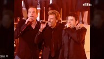 Johnny Hallyday, Patrick Bruel et Garou 