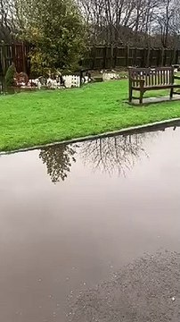 The Glasgow Road Baby Cemetery in Bathgate flooded following storms