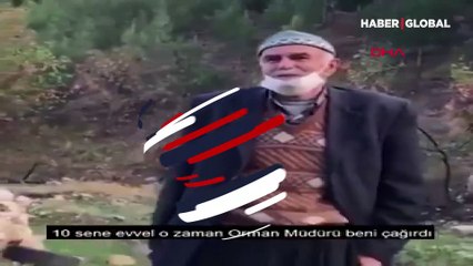 'Çöplük' alanı 10 bin fidanla orman yaptı