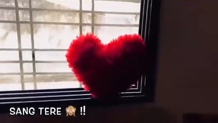 Sang tere raasta whatsapp status song