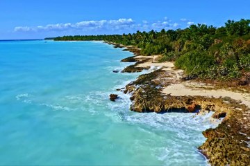 Beautiful Relaxing Stress Relief Music Meditation Music, Sleep Music