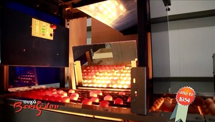 Όρεξη να χεις S10EP09