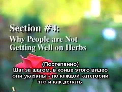 д-р_Шульце