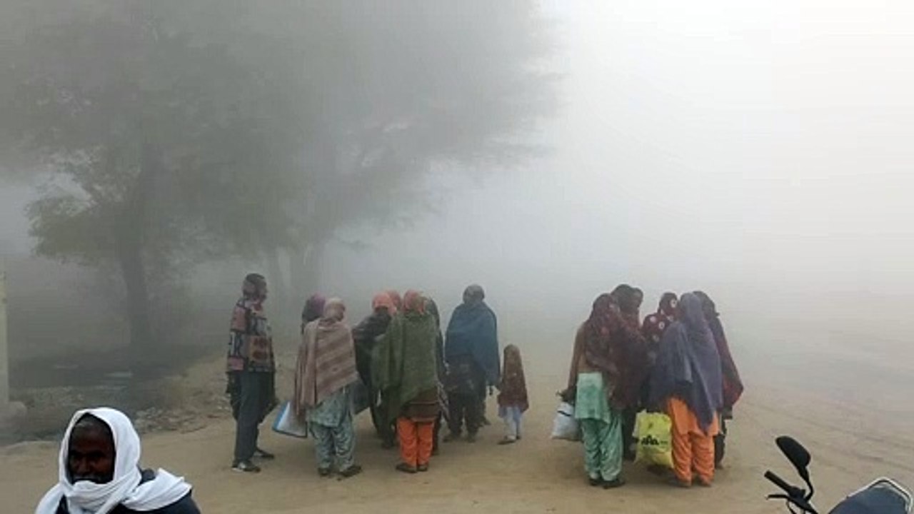 छाया घना कोहरा, वाहन चलाने के लिए जलानी पड़ी लाइट