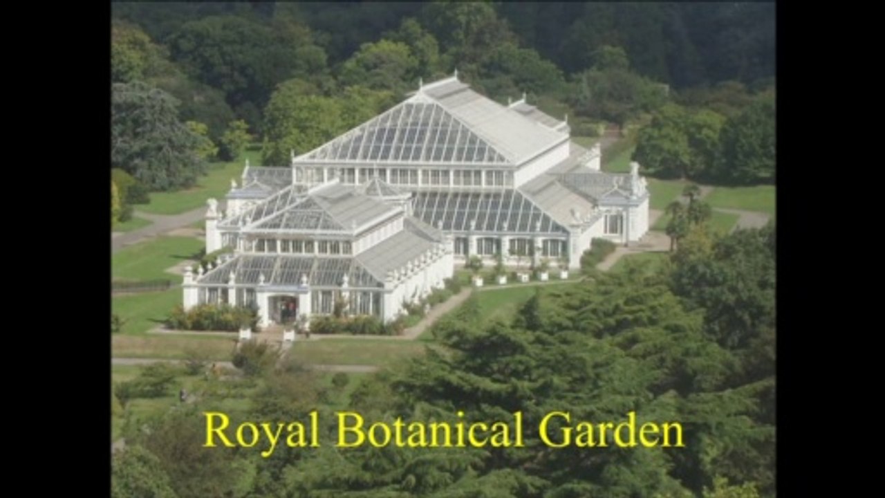 Largest garden of world | Royal Botanical Garden Kew | Kew Garden | England