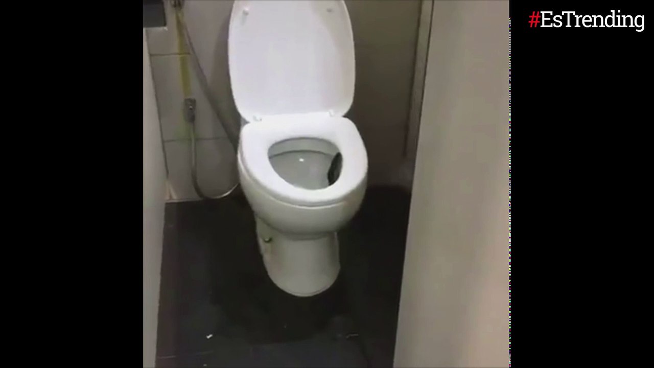 El aterrador momento en que un hombre descubre a una serpiente saliendo del inodoro