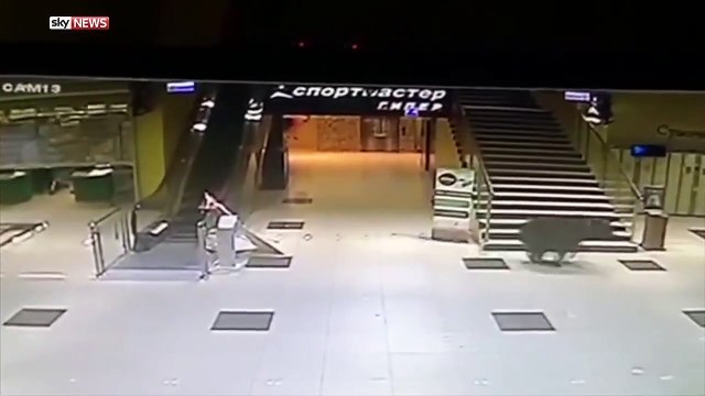 AVM'ye giren ayı ortalığı birbirine kattı