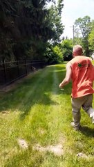 Download Video: Men Save Fawn Stuck in Metal Fence