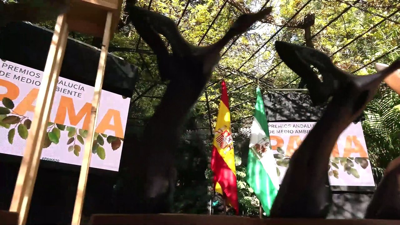 Ceremonia de entrega de los premios de Medio Ambiente 2020