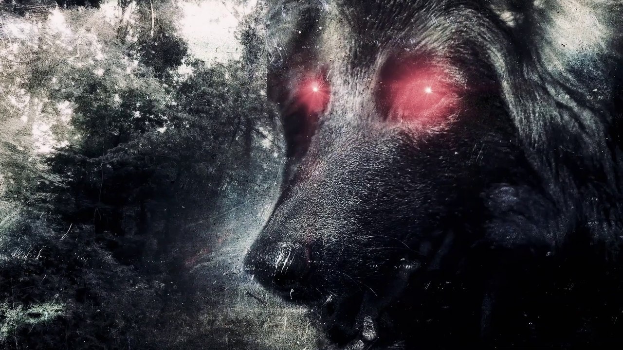 The Mark of the Bell Witch Documentary movie