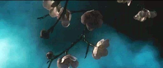 Howl from beyond the Fog