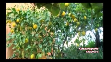 ME HAPA NE SKENE  |  PAULIN LACAJ  -  Kinematografia Shqiptare