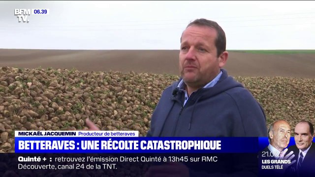 Betteraves: une récolte catastrophique en 2020