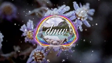 Voices - non copyright music - DMW