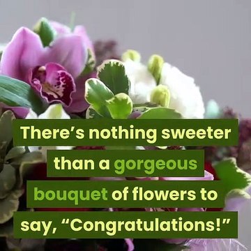 Morningside Florist 11170 Sun Center Dr Suite 110 Rancho Cordova CA 95670 (916) 635-9891 Rancho Cordova Florist