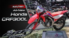 ส่องรอบคัน All-New Honda CRF300L ราคาเริ่มต้น 1.45 แสนบาท