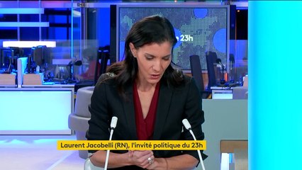 Manifestations : "Le pouvoir ne fait rien" contre les casseurs, estime Laurent Jacobelli (RN)