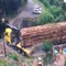 Dangerous Logging Trucks Drivers Fails