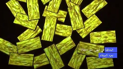 البندقية في أبهى حلة احتفالا بعيد الميلاد