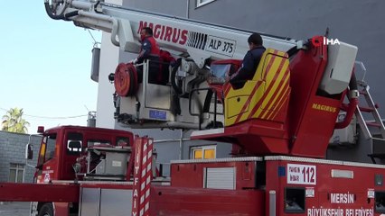 Dokuzuncu katta yavru kedi operasyonu