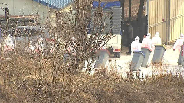 경기도 여주 산란계 농장 고병원성 AI 확진...전국 확산 비상 / YTN