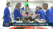 1.2 Juta Dosis Vaksin Corona Sinovac China Tiba di Indonesia