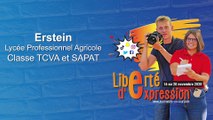 J1J Lycée professionnel agricole d'Erstein