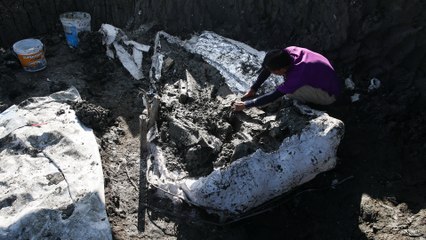 Thailand: Whale skeleton believed to be 5,000 years old unearthed