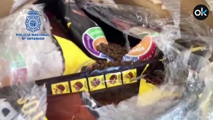 La Policía desarticula en Gerona una organización de tráfico internacional de marihuana