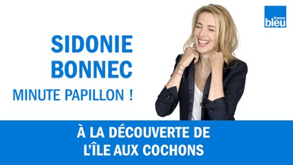 À la découverte de l'île aux cochons