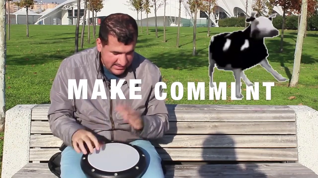 Bilal Göregen - Levan Polkka Remix - Polish cow meme after cat vibing meme