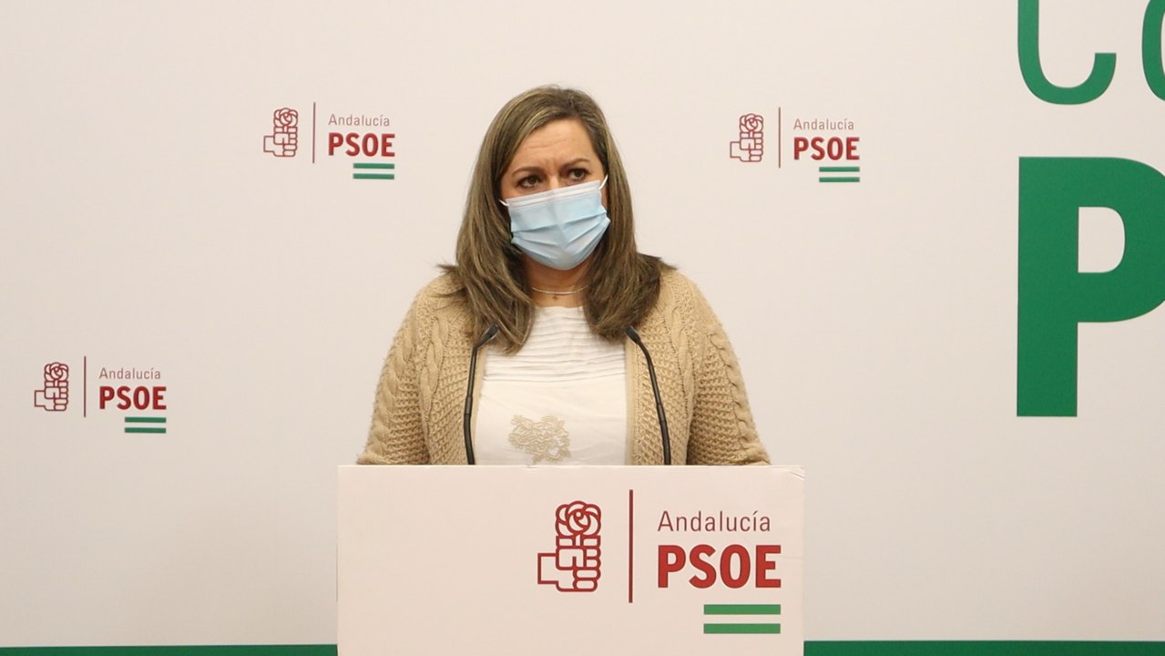 PSOE-A critica que Moreno tiene "estrangulada" la Dependencia