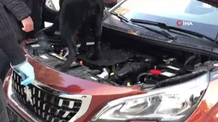 Alüminyum folyoyla gizlenen uyuşturucu narkotik köpeği 'Gece'ye takıldı