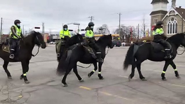 Des chevaux de la Sûreté du Québec patrouillent à Valleyfield