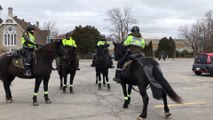 Des chevaux de la Sûreté du Québec patrouillent à Valleyfield