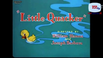 Tom e Jerry 7 - S.O.S. paperina (Little Quacker)