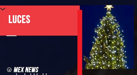 UN ARTISTA ITALIANO CREÓ UN ÁRBOL NAVIDEÑO ÚNICO, HECHO SÓLO CON LUCES