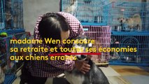 Chine : une retraitée sauve les chiens errants