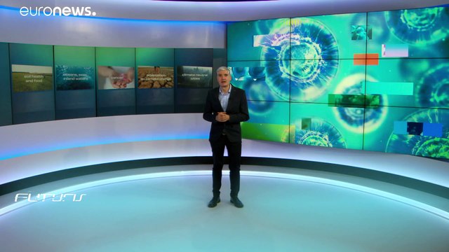 Защита морей и океанов: подводная реставрация спасёт экосистемы?