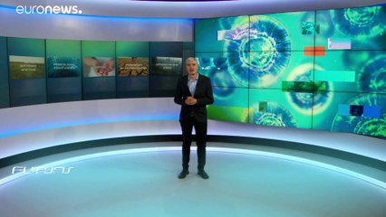 Защита морей и океанов: подводная реставрация спасёт экосистемы?