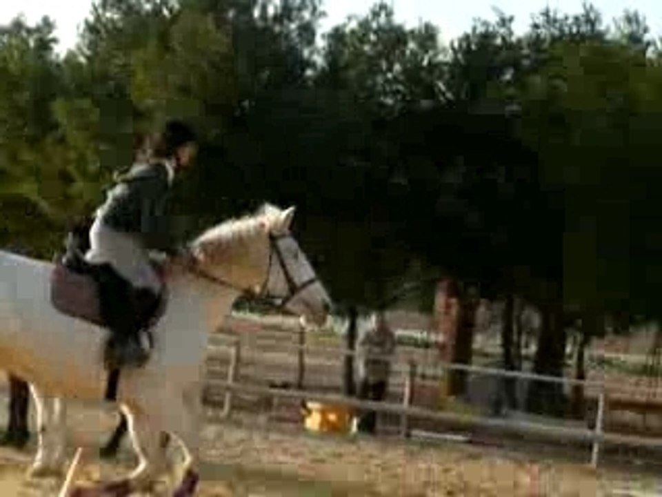 Creme et moa passage galops 3