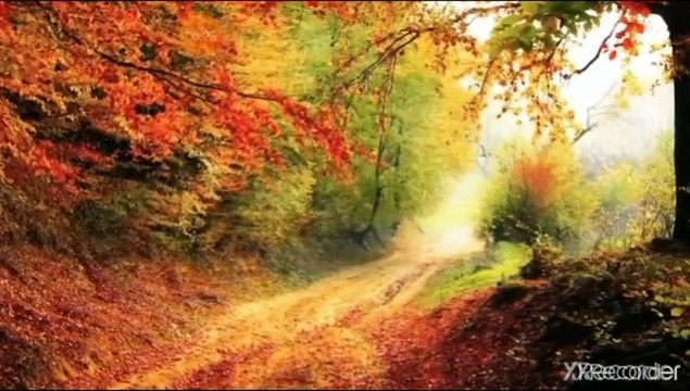 مقطع رائع جدا الصحابي سفينة مولى رسول الله مع الاسد