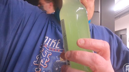 Tank's Taste Test Key Lime Pie Soda