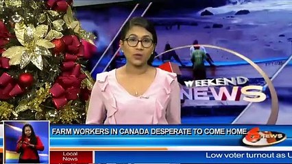 Farm workers in Canada desperate to come home