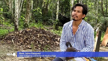 El indígena que protege a los monos huérfanos por la cacería en la selva amazónica
