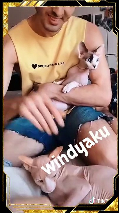 momentos divertidos-mascotas-clips tik tok