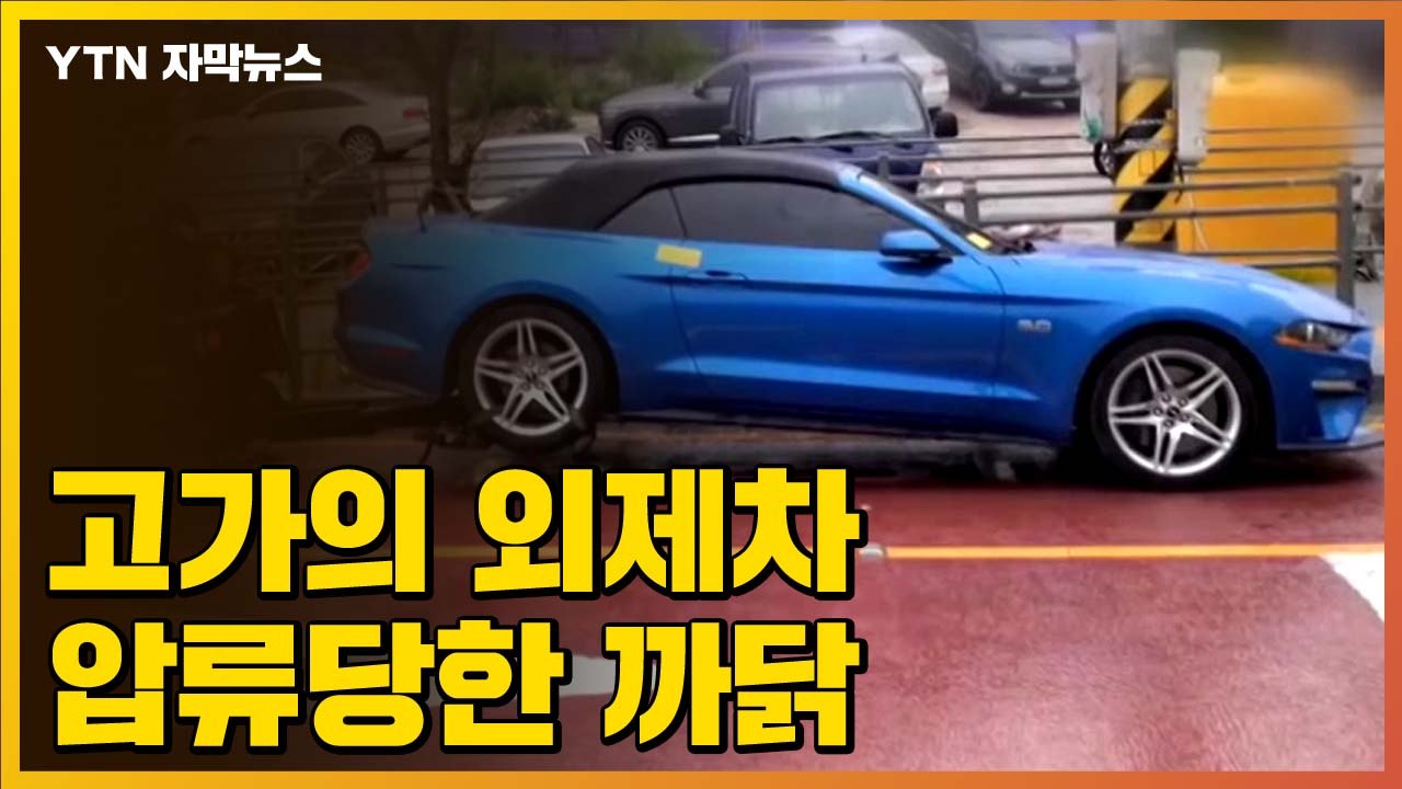 [자막뉴스] 호화주택 살며 고가 외제차...결국 압류당한 이유 / YTN