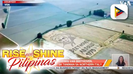 Portrait ni Ludwig Van Beethoven, nilikha ng artist sa taniman sa Northern Italy