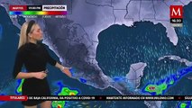 El clima para mañana 8 de diciembre, con Jessica de Luna