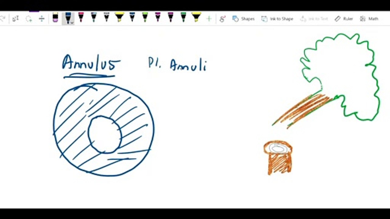 Shells revised - Shells - Annulus tag scene